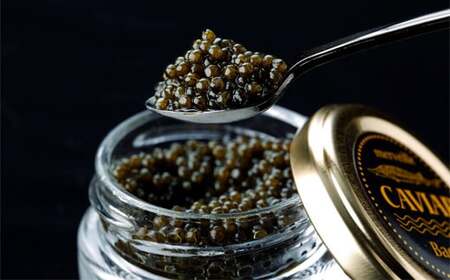 �y�����Y�{��L���r�A�z�����x�C���L���r�A�@�o�G����1000g�F�①�^�C�v��