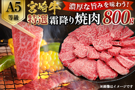 yA5z{苍I~ē 800gi400g×2Pj {苍 uh a  ē Ia ~ A5 {茧 юs