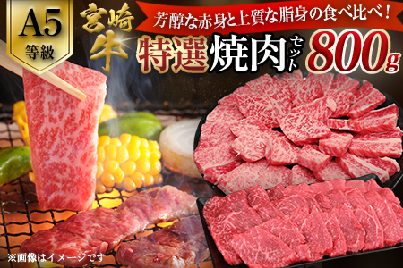 yA5z{苍 IēZbg v800giԐgE~j {苍 uh a  ē Ia ~ A5 {茧 юs