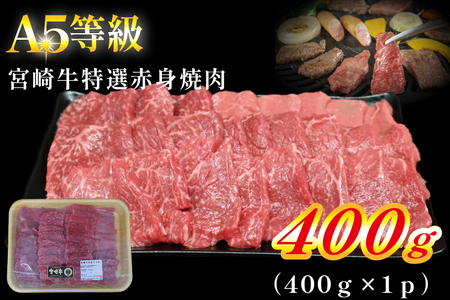 [A5等級]宮崎牛特選赤身焼肉 400g 宮崎牛 ブランド牛 和牛 牛肉 焼肉 特選和牛 赤身 A5 宮崎県 小林市