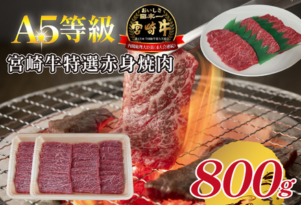 yA5z{苍IԐgē 800g  {苍 uh a  ē Ia Ԑg A5 {茧 юs