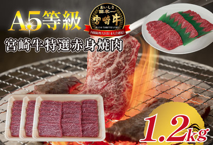 yA5z{苍IԐgē 1.2kg  {苍 uh a  ē Ia Ԑg A5 {茧 юs