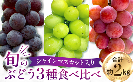 [数量限定]旬のぶどう3種食べ比べ アソート 計2kg程度 ( シャインマスカット オーロラブラック クイーンニーナ ) ぶどう ブドウ シャインマスカット シャイン マスカット フルーツ 果物 くだもの 食べ比べ 宮崎県小林市 )