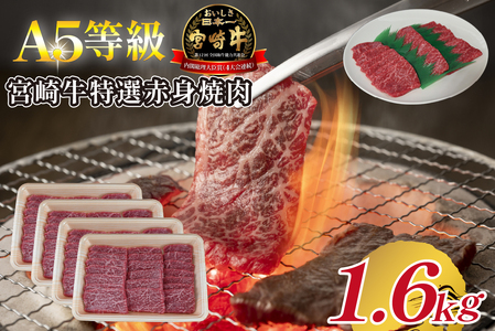 yA5z{苍IԐgē 1.6kg {苍 uh a  ē Ia Ԑg A5 {茧 юs