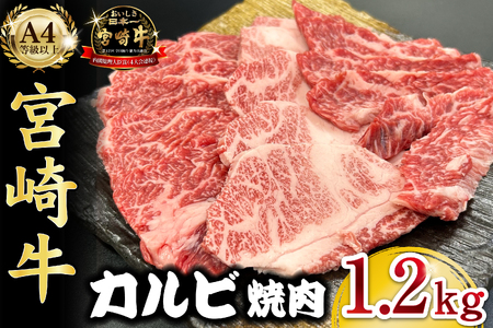 {茧mqEA4ȏ{苍Jrē 1.2kg  јa Jr Ԑg ēp ē A4 A5 tb4A