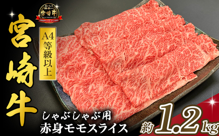 {茧mqEA4ȏ{苍ԐgԂԃ 1.2kg Y   {苍 јa  Ă Ȃɂa ē lC  XCX