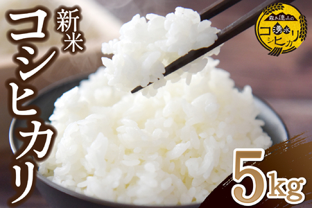 [令和7年産]湧水で育った小林産コシヒカリ 5kg(5kg×1袋 お米 米 こしひかり コシヒカリ 白米 精米 限定)