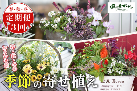 [定期便3回]季節の寄せ植え(ガーデニング ギフト寄せ植え 贈答用寄せ植え 母の日 誕生日 記念 定期便)