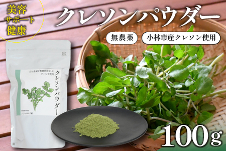 yڂ̃X[p[t[hzVRN\pE_[ 100giY VR  pE_[ e ؁j