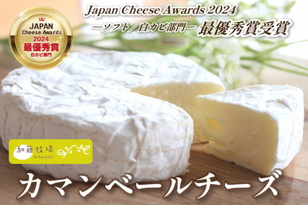 [国内コンテスト最優秀賞受賞!]カマンベールチーズ 1個 100g (チーズ 国産 乳製品 生乳 国産チーズ ノンホモ 手作り 人気)