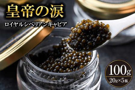 yYLrAzCVxALrA 100g c̗ Y `EU  {茧