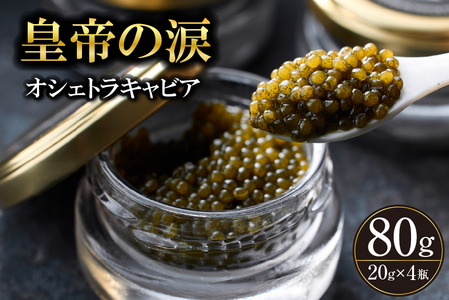 yYLrAzIVFgLrA 80g c̗ Y `EU  {茧 юs