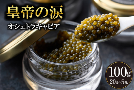 yYLrAzIVFgLrA 100g c̗ Y `EU  {茧 юs