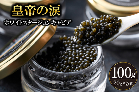 yYLrAzzCgX^[WLrA 100g c̗ Y `EU  {茧 { юs