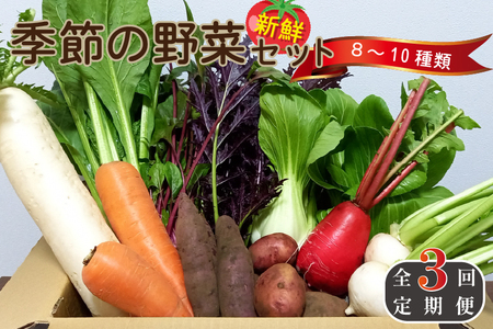 [定期便 全3回]季節の野菜詰め合わせセット(新鮮 採れたて 野菜 セット 定期便 詰め合わせ 宮崎県)