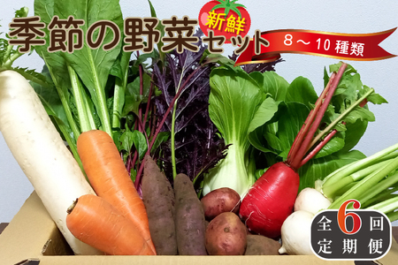 y S6zG߂̖؋lߍ킹ZbgiVN ̂ꂽ  Zbg  lߍ킹 {茧j