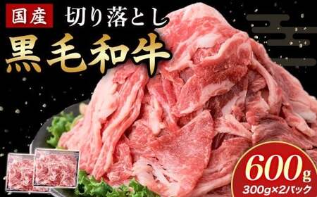 国産黒毛和牛切り落とし 600g ( 国産 牛 牛肉 黒毛和牛 切り落とし 真空 小分け 冷凍 宮崎県 小林市 )