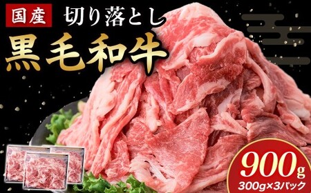 Yјa؂藎Ƃ 900g i Y   јa ؂藎Ƃ ^  Ⓚ {茧 юs j