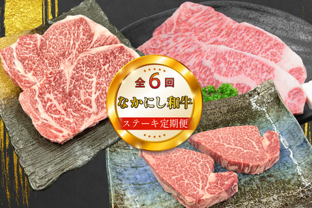 [定期便 全6回]宮崎県西ノ原牧場・なかにし和牛ステーキ定期(牛肉 黒毛和牛 お肉 ステーキ 赤身 モモ サーロイン ヒレ 定期便)