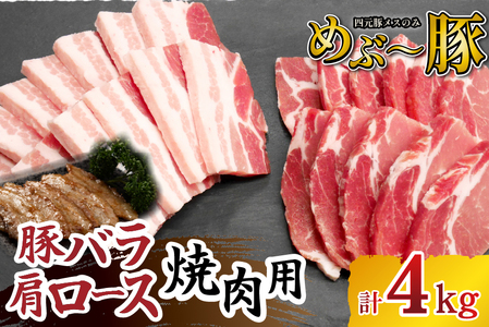 ynuh؁z߂ԁ` ؃o [X ēZbg v4kgiؓ   o [X ēp BBQ j