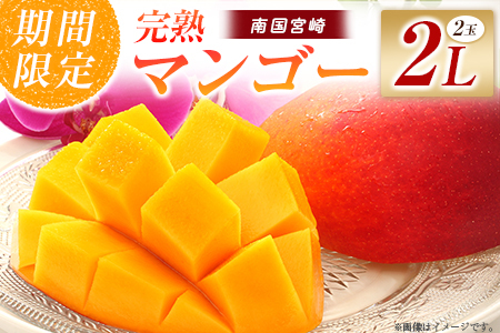 [令和8年発送 先行予約]完熟マンゴー 2L×2玉(フルーツ マンゴー 完熟マンゴー アップルマンゴー 果物 くだもの 先行受付)