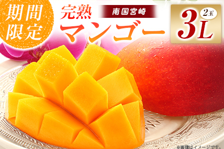 �y�ߘa8�N���� ��s�\��z���n�}���S�[ 3L×2�ʁi�t���[�c �}���S�[ ���n�}���S�[ �A�b�v���}���S�[ �ʕ� �������� ��s��t�j