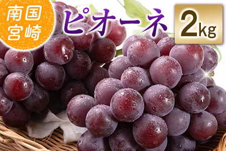 �y�ߘa8�N���� ��s�\��z���юs�Y �s�I�[�l 2kg�i�Ԃǂ� �u�h�E �s�I�[�l �t���[�c �ʕ� �������� ��s��t ����j