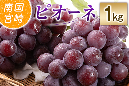 �y�ߘa8�N���� ��s�\��z���юs�Y �s�I�[�l 1kg�i�Ԃǂ� �u�h�E �s�I�[�l �t���[�c �ʕ� �������� ��s��t ����j