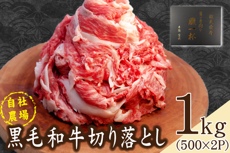 �y���Д_��a���z���јa�� �؂藎�Ƃ�1kg�i���јa�� ���� �؂藎�Ƃ� �ؗ��� �󂠂� �Ԑg ���~��j