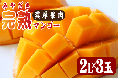 [2026年発送 先行予約]生産農家応援・濃厚果肉 みやざき完熟マンゴー 2L×3玉(マンゴー フルーツ アップルマンゴー 果物 くだもの 2026 先行受付 宮崎)