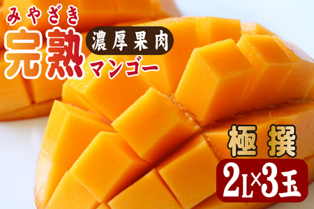 [2026年発送 先行予約]生産農家応援・濃厚果肉 みやざき完熟マンゴー極撰 2L×3玉(マンゴー フルーツ アップルマンゴー 果物 くだもの 2026 先行受付 宮崎)