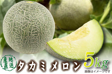 [2026年発送 先行予約]生産農家応援・もぎたて直送 タカミメロン 5kg程度(メロン フルーツ 果物 くだもの 先行受付 2026 宮崎)