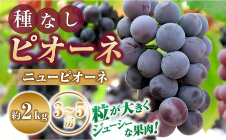 [令和8年発送 先行予約]種なしピオーネ(ニューピオーネ)2kg ぶどう 葡萄 ブドウ ピオーネ 種なし ジューシー 濃厚 宮崎県 小林市