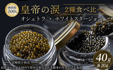 皇帝の涙2種食べ比べ(オシェトラ・ホワイトスタージョン)国産チョウザメキャビア