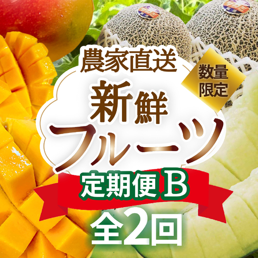 [定期便2回]契約農家直送の新鮮フルーツ定期便B(マンゴー アップルマンゴー メロン フルーツ 果物 くだもの 宮崎県 宮崎 定期便)