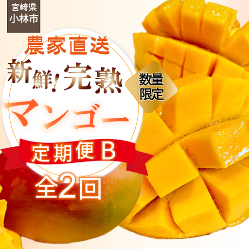 [定期便]契約農家直送の新鮮特選完熟マンゴー定期便B (フルーツ マンゴー)