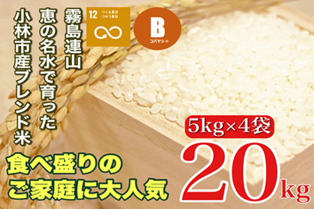 yāzNňюsYuh 20kgi5kg×4   uh   ƒpj