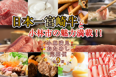 【定期便・全9回】日本一宮崎牛と小林市の魅力満載!!! 小林満足おためし定期便 10万円コース（国産 牛肉 国産牛 和牛 黒毛和牛 すき焼き フルーツ お菓子  豚肉 鶏肉 スイーツ 定期便）