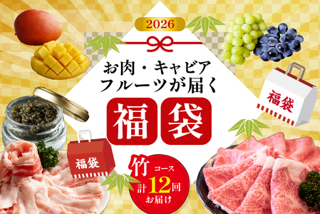 【定期便・全12回】新春おたのしみ 福袋  竹（牛肉 豚肉 鶏肉 果物 フルーツ 2026 限定 定期便 宮崎 小林市）