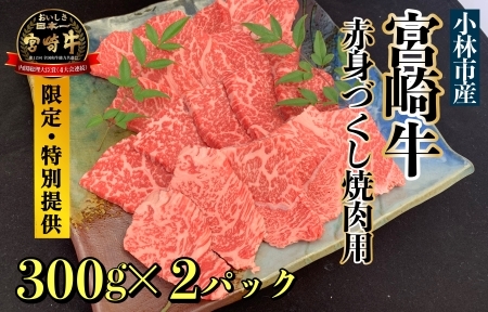 [直売・数量限定受付]A5等級 小林市産宮崎牛赤身づくし焼肉用 600g(宮崎牛 黒毛和牛 牛肉 ブランド牛 お肉 焼肉) 焼肉 和牛焼肉 牛肉焼肉 赤身焼肉 国産焼肉