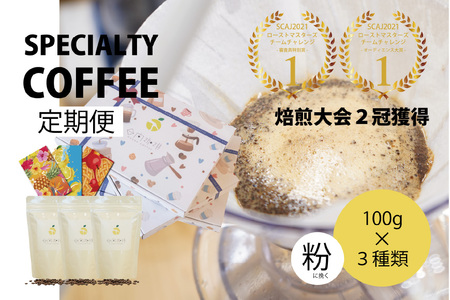 定期便 6回 [日本一の焙煎士厳選]珈琲 粉 100g×3種 スペシャルティコーヒー 飲み比べ [日向珈琲 宮崎県 日向市 452060431] コーヒー 焙煎 自家焙煎 詰め合わせ