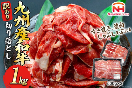 牛肉 訳あり 日本ハム 九州産 和牛 切り落とし 500g 2p 計 1kg [日本ハムマーケティング 宮崎県 日向市 452061137] 冷凍 小分け 個包装 牛 すき焼き もも肉 モモ肉 牛バラ 牛肩