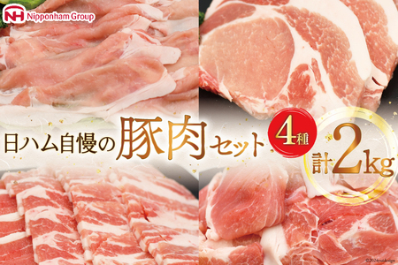 肉 豚肉 宮崎県産豚肉4種セット 詰め合わせ 2kg [日本ハムマーケティング 宮崎県 日向市 452060687] 冷凍 小分け 個包装 セット とんかつ しゃぶしゃぶ 焼き肉 細切れ 焼肉