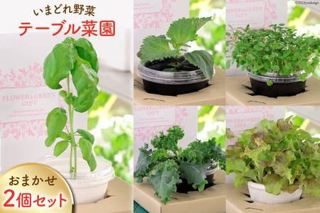 野菜 キットの返礼品 検索結果 | ふるさと納税サイト「ふるなび」