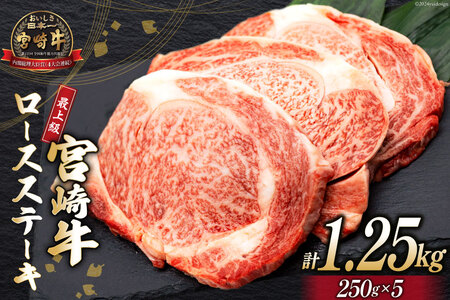 [最上等級使用!] 牛肉 宮崎牛 ロース ステーキ 250g × 5枚 計1.25kg [ミヤチク 宮崎県 日向市 452060773] 小分け 個包装 和牛 黒毛和牛 ブランド牛 冷凍 4等級 5等級