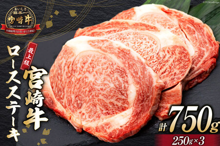 [最上等級使用!] 牛肉 宮崎牛 ロース ステーキ 250g × 3枚 計750g [ミヤチク 宮崎県 日向市 452060772] 小分け 個包装 和牛 ブランド牛 黒毛和牛 冷凍 4等級 5等級