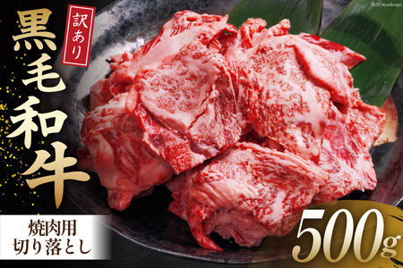 牛肉 訳あり 宮崎県産黒毛和牛 焼き肉用切り落とし 500g[ウィズ・クリエイティブ 宮崎県 日向市 452060764] 冷凍 数量限定 不揃い 牛 和牛 黒毛和牛 切り落とし