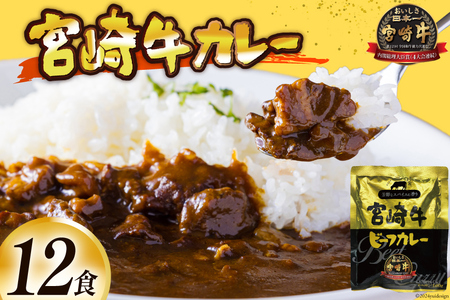 お肉多め!宮崎牛カレー 160g×12食 レトルト [九州産商 宮崎県 日向市 452061047] 詰め合わせ 小分け ビーフカレー 宮崎 牛 常備食 保存食 中辛 宮崎牛 防災 備蓄 内閣総理大臣賞受賞