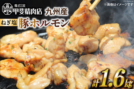 z BY ˂ z 200g 8 v 1.6kg [b㐸X {茧 s 452060692]