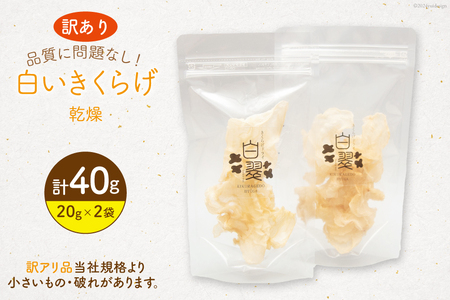 訳あり きくらげ 乾燥 白いきくらげ 20g 2袋 計 40g [きくらげ堂 日向店 宮崎県 日向市 452061064] 国産 キクラゲ 木耳 白